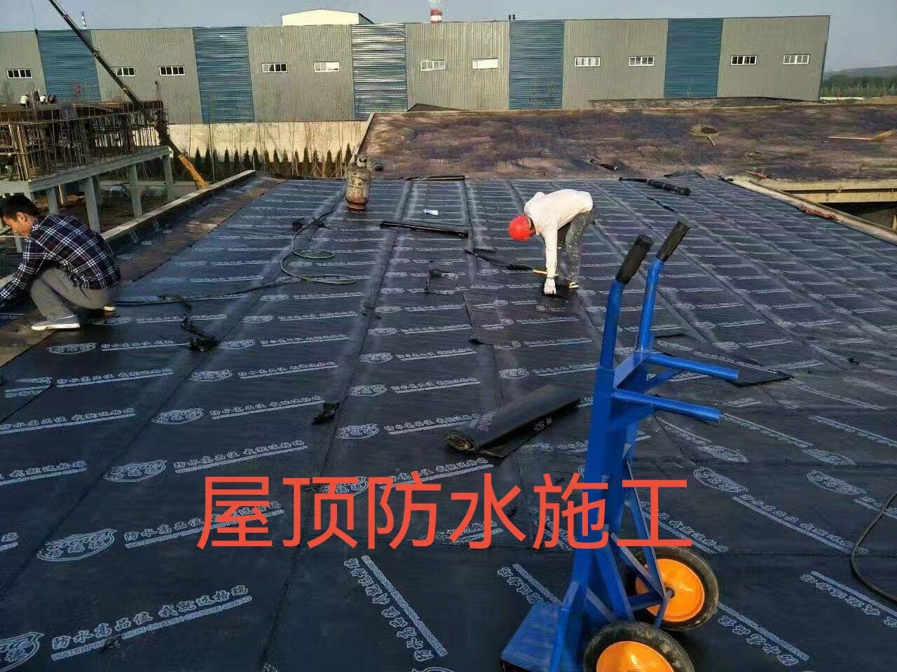 微信图片_20240626205134.jpg